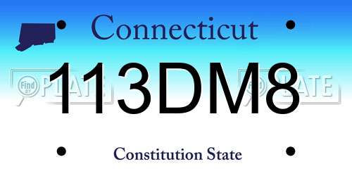 113DM8 Connecticut License Plate