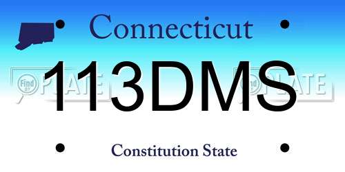 113DMS Connecticut License Plate