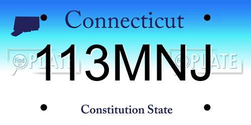 113MNJ Connecticut License Plate