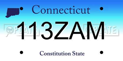 113ZAM Connecticut License Plate