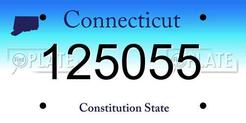 125055 Connecticut License Plate