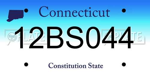 12BS044 Connecticut License Plate