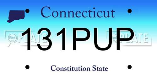131PUP Connecticut License Plate