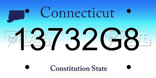 13732G8 Connecticut License Plate