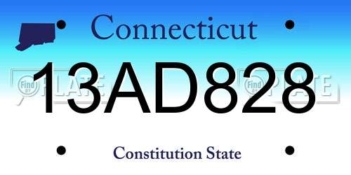 13AD828 Connecticut License Plate
