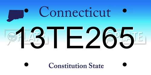 13TE265 Connecticut License Plate