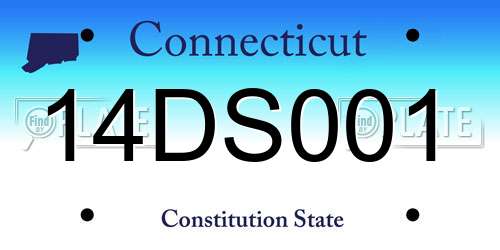14DS001 Connecticut License Plate