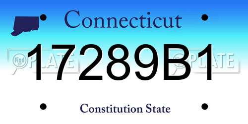 17289B1 Connecticut License Plate