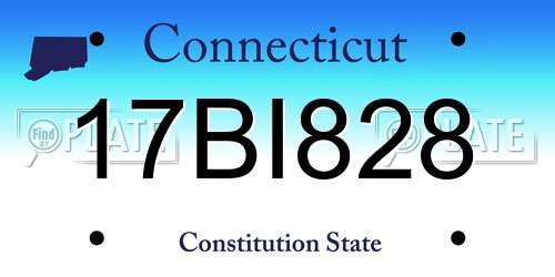 17BI828 Connecticut License Plate