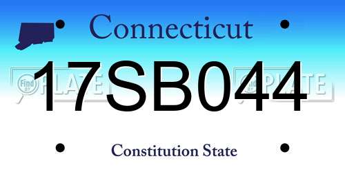 17SB044 Connecticut License Plate