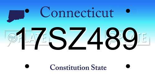 17SZ489 Connecticut License Plate
