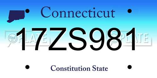 17ZS981 Connecticut License Plate