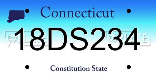 18DS234 Connecticut License Plate