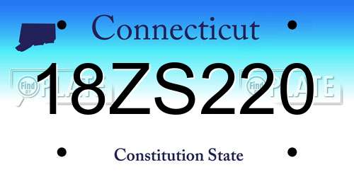18ZS220 Connecticut License Plate