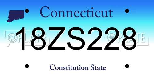 18ZS228 Connecticut License Plate