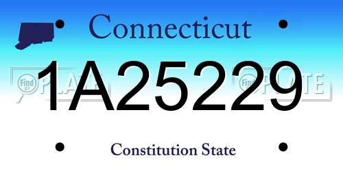 1A25229 Connecticut License Plate