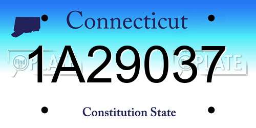 1A29037 Connecticut License Plate