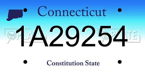 1A29254 Connecticut License Plate