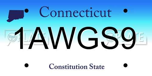 1AWGS9 Connecticut License Plate