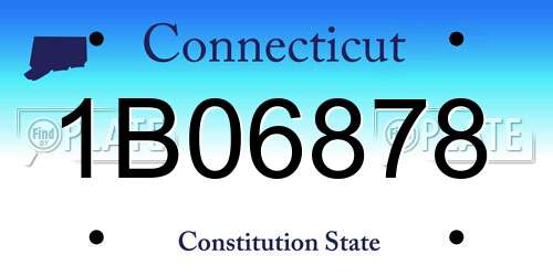 1B06878 Connecticut License Plate
