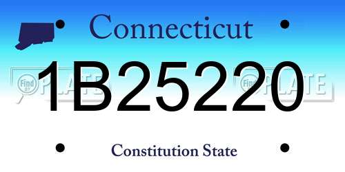 1B25220 Connecticut License Plate