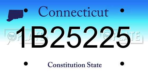 1B25225 Connecticut License Plate