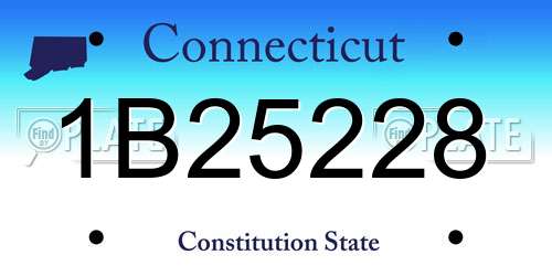 1B25228 Connecticut License Plate