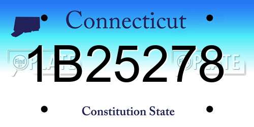 1B25278 Connecticut License Plate