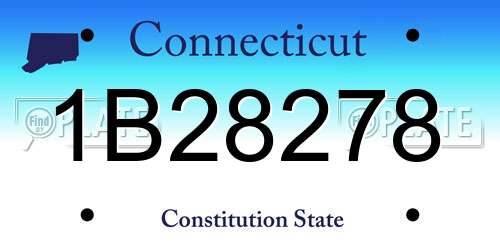 1B28278 Connecticut License Plate