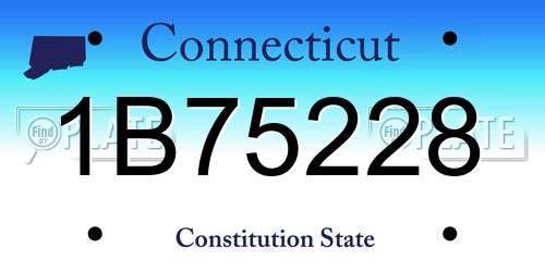 1B75228 Connecticut License Plate