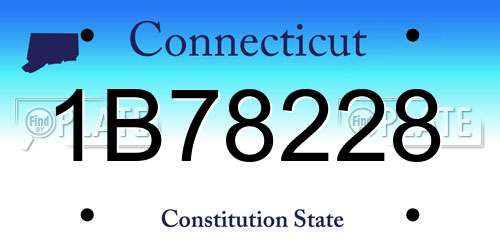 1B78228 Connecticut License Plate