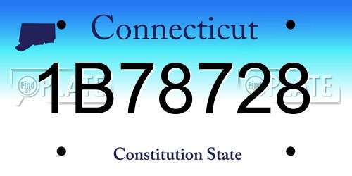 1B78728 Connecticut License Plate