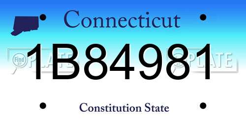 1B84981 Connecticut License Plate