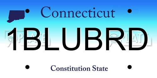 1BLUBRD Connecticut License Plate