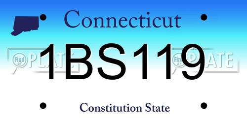1BS119 Connecticut License Plate