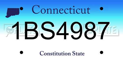 1BS4987 Connecticut License Plate