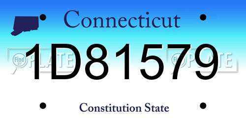 1D81579 Connecticut License Plate