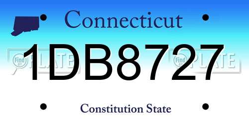 1DB8727 Connecticut License Plate
