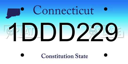 1DDD229 Connecticut License Plate