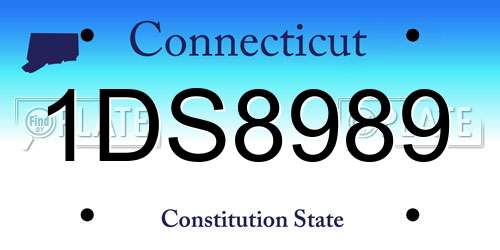 1DS8989 Connecticut License Plate