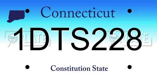 1DTS228 Connecticut License Plate