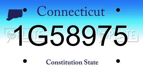 1G58975 Connecticut License Plate