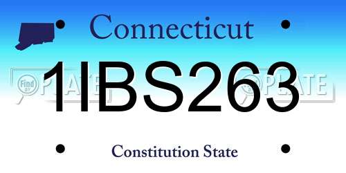 1IBS263 Connecticut License Plate