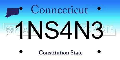 1NS4N3 Connecticut License Plate