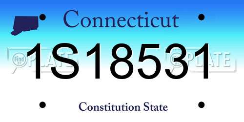 1S18531 Connecticut License Plate