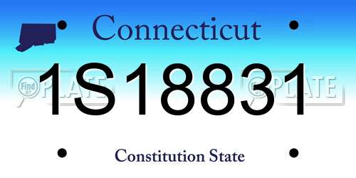 1S18831 Connecticut License Plate