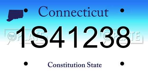 1S41238 Connecticut License Plate