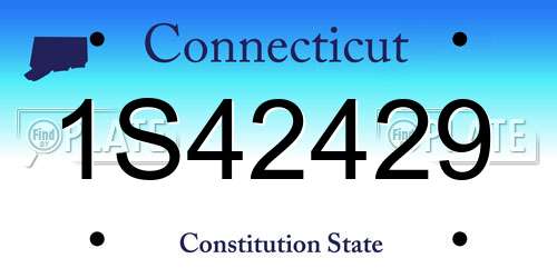 1S42429 Connecticut License Plate