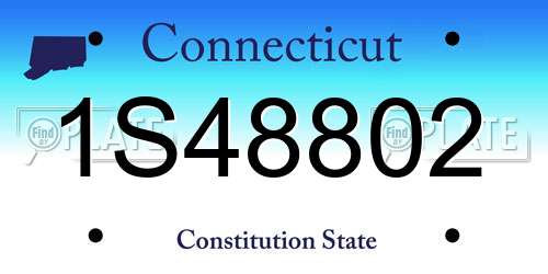 1S48802 Connecticut License Plate