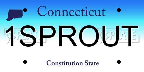 1SPROUT Connecticut License Plate